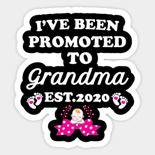 I have been promoted to Grandma Sticker